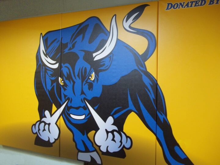 Protector™ Custom Graphic Indoor Wall Padding - Image 2