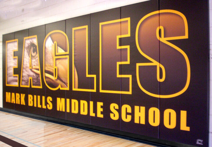 Firewall™ Graphic Hidden Mount Wall Padding 2' x 6' Panel